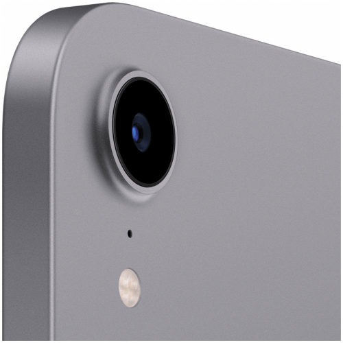 Apple iPad mini (2021) Wi-Fi 256 ГБ, Gray, серый космос