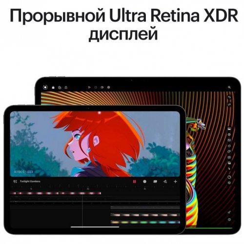 Apple iPad Pro (M4, 2024) NT 13" Wi-Fi + Cellular 2 ТБ, Black, чёрный космос
