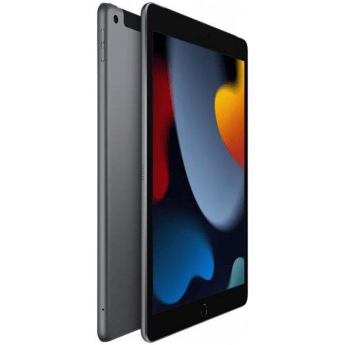 Apple iPad 10,2" (2021) Wi-Fi + Cellular 256 ГБ, Gray, серый космос