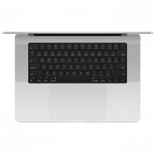 Apple MacBook Pro 16" (M4 Max 16C CPU, 40C GPU, 2024) 128 ГБ, 2 ТБ SSD, Silver, серебристый, (Custom), P1640163