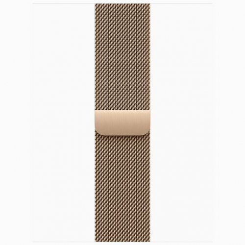 Apple Watch Series 11 GPS + Cellular, 46 мм Gold Titanium Case with Gold Milanese Loop