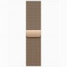 Apple Watch Series 11 GPS + Cellular, 46 мм Gold Titanium Case with Gold Milanese Loop