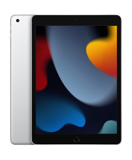 iPad 10,2